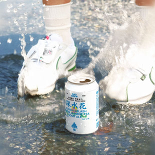 【小女贼】 道酿  踩水花 酸艾尔  330ml 听装 国产 精酿啤酒