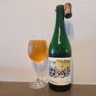 参照系混酿 环球剧院雷司令/弗德乔/品丽珠/夏多内 瓶装 精酿啤酒