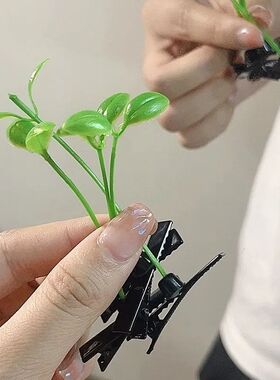超火发夹头饰头上小草长草发卡