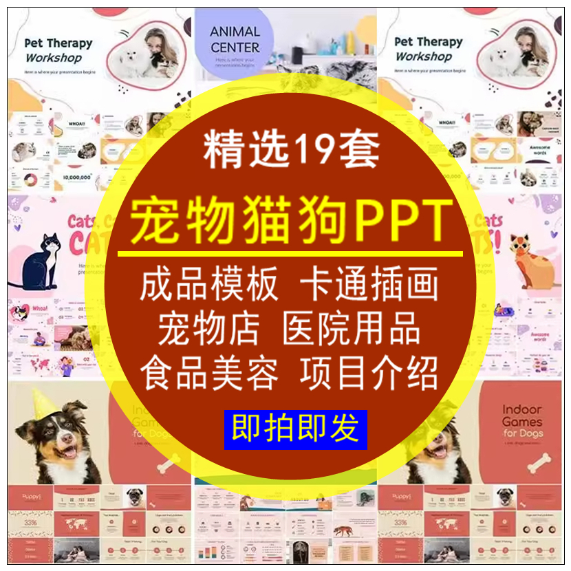 宠物猫PPT模板卡通插画宠店医院用品食品美容项目介绍工作汇报