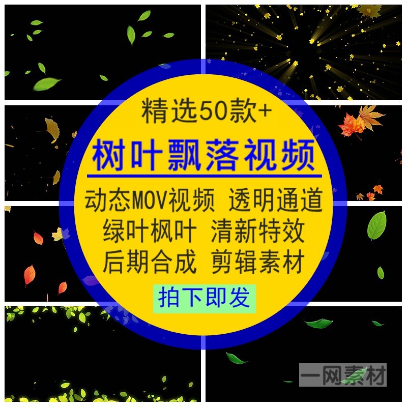 树叶飘落视频秋天枫叶绿叶子清新特效果动态MOV透明通道Prae后期