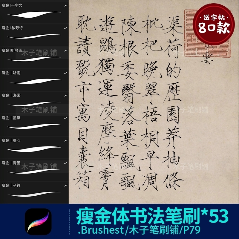 瘦金体书法字体书法毛笔手写水墨枯笔行楷顺滑字体Procreate笔刷