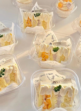 加厚切块蛋糕包装盒网红烘焙甜点打包盒豆乳盒提拉米苏慕斯千层盒