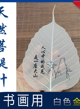 菩提叶脉树叶天然上胶写字彩绘书画画印刷diy装饰艺术标本