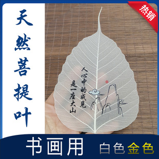 菩提叶脉树叶天然上胶写字彩绘书画画印刷diy装饰艺术标本