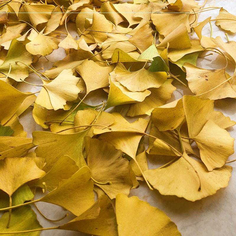 银杏叶玫瑰花束材料包干花树叶子做成玫瑰花成品520情人节七夕元