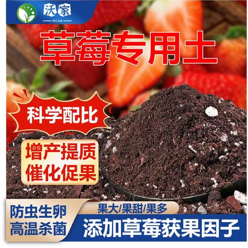 草莓专用营养土通用型草莓土盆栽草莓土壤种植阳台花土专用营养土