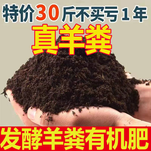 羊粪肥有机肥腐熟农家肥家用
