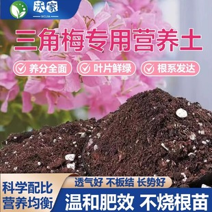 三角梅专用土阳台盆栽花卉通用土壤疏松透气养花种菜专用营养土壤