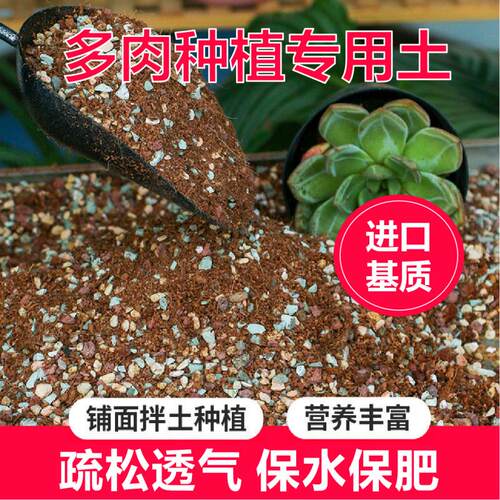 多肉专用颗粒土营养土种多肉专用肥轻质陶粒透气铺面石纯颗粒通用
