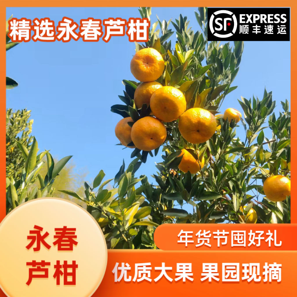 正宗福建永春芦柑应季新鲜孕妇水果整箱10斤礼盒顺丰现摘桔子柑橘,水产肉类/新鲜蔬果/熟食,桔子,淘宝优惠券,粉丝福利购,淘宝优惠卷
