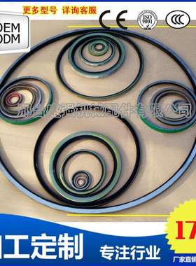 专业制造各种大型油封外骨架油封AB6226E0SBB560*620*25