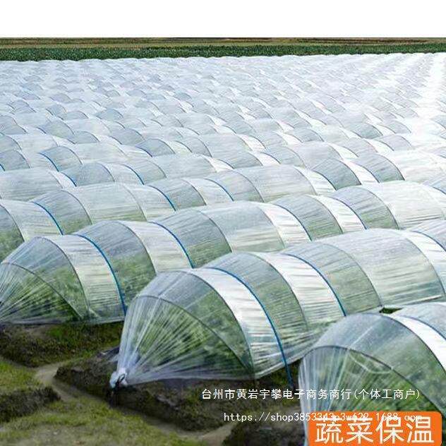 小拱棚大棚二膜透明塑料薄膜塑料布地膜农用育苗防寒保温种菜防尘