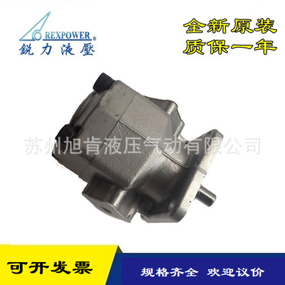 REXPOWER齿轮泵RGP系列