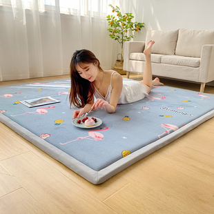 精选定制榻榻米垫子四季薄款床褥软垫东北农村大炕床垫被防滑家用