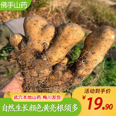 佛手山药新鲜武穴土特产正宗蕲春