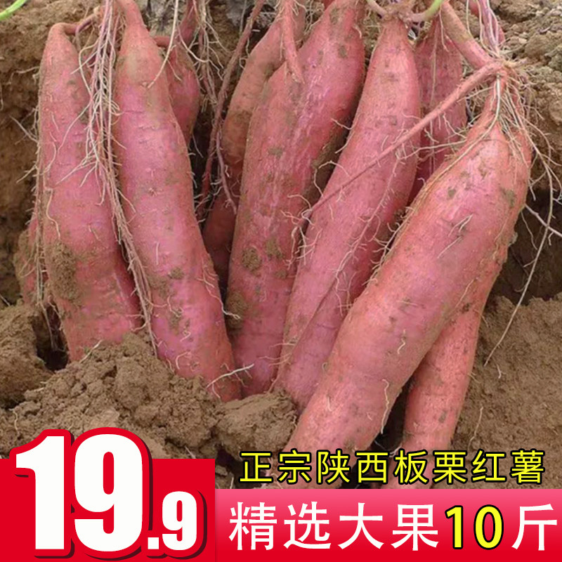陕西白心板栗红薯沙地蜜薯2020新鲜地瓜农家山芋番薯大果5斤10斤