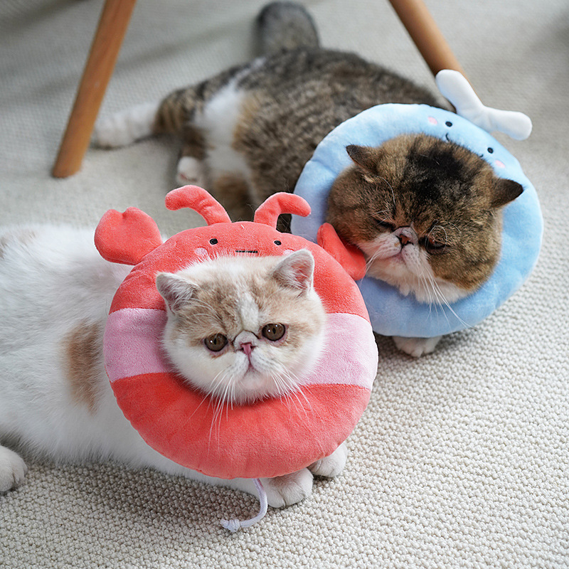 猫咪可爱颈圈防舔防咬装饰头套