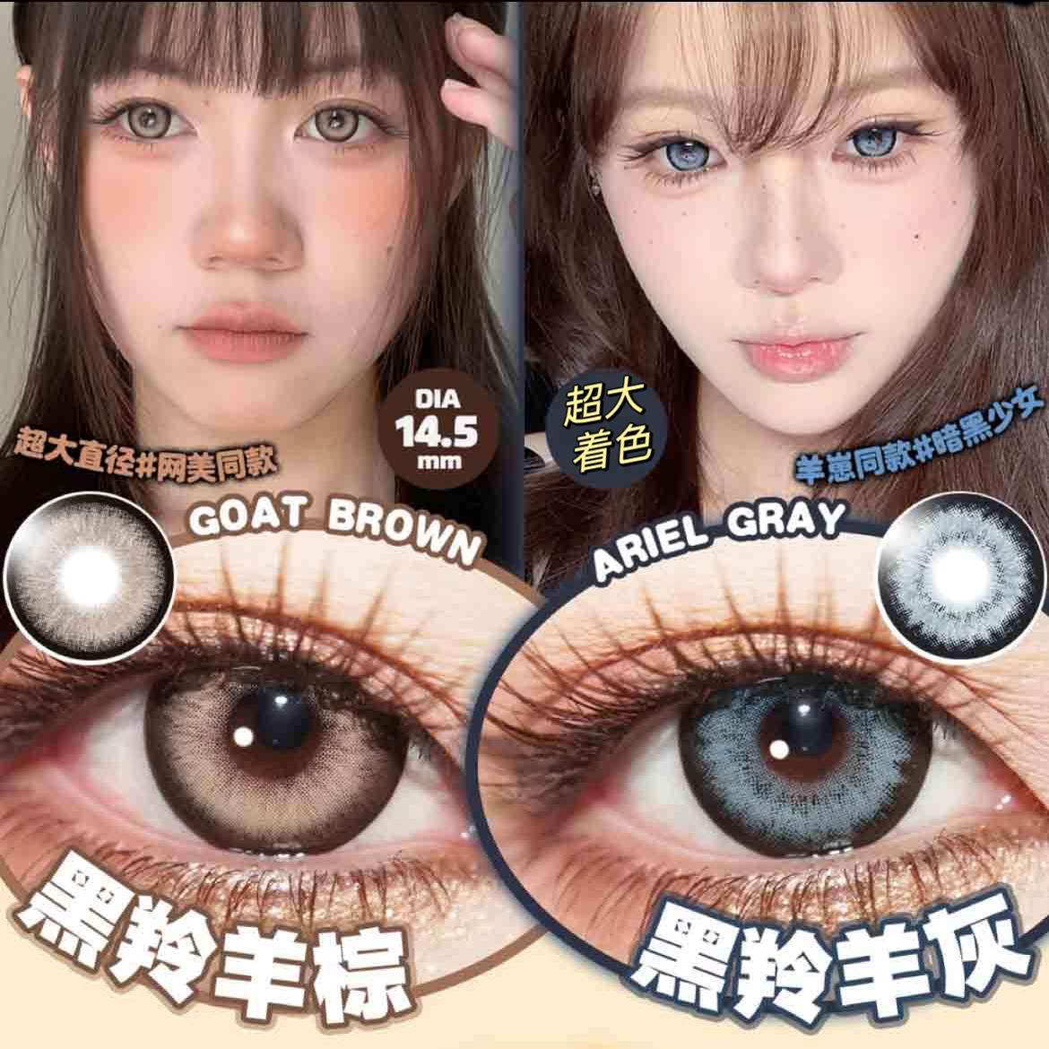 新款混血超显色年抛美瞳超大直径黑羚羊灰/棕高颜值隐形眼镜AF