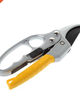 Bonsai Fruit Tree Plants Cutter Scissors Pruner Secateurs Pr