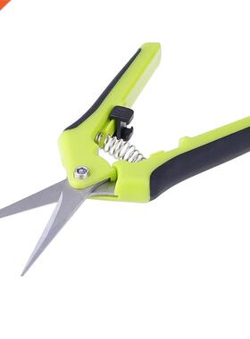 Petit acier inoxydable jardin sécateur ciseaux de cue