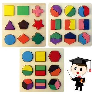 Wooden Geometric Shapes Montessori Puzzle Sorting Math Brick