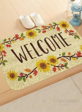 /Welcome to the imported door floor mat hallway kitchen ab