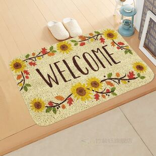 /Welcome to the imported door floor mat hallway kitchen ab