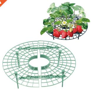 Strawberry Growing Supporter Garden Balcony Planting Rack Pl