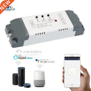 Professnal eWeLink 2CH Smart Wireless Automation Module Time