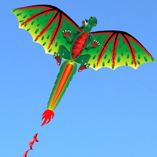 100m 3D Dinosaur Kite Long Tail Outdoor Sports Kites Animal