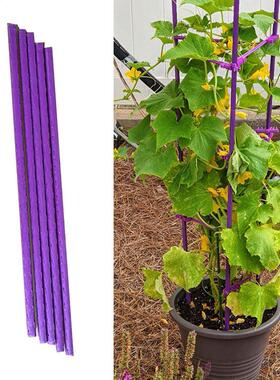 Hydroponics Garden Plant akes Support icks Canes Pole Gr