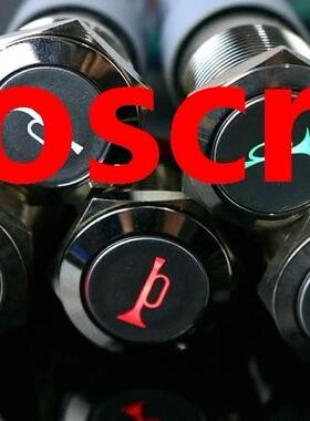 19mm reset alumina switch automobile loudspeaker button swit
