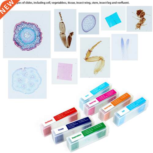 35pcs Prepared Microscope Slides Microscope Specimen Slide B
