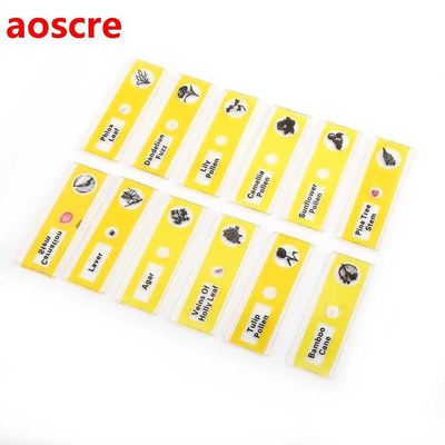 4 Set Plastic Prepared Microscope Slides Animals Insects Pla