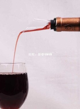 Superior Quality Wine Aerator Pour Spout Decanter E2shopping