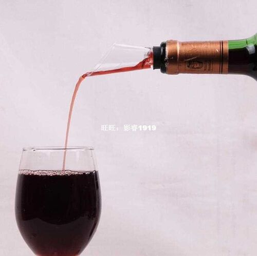 Superior Quality Wine Aerator Pour Spout Decanter E2shopping