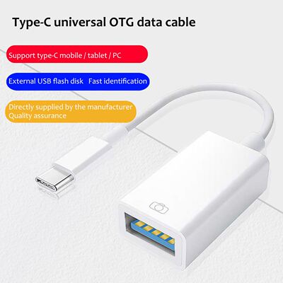 Type USB C OTG Adapter Type-C Female Converter Cable Flash D