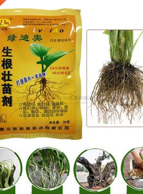 Cytokinin Plant Hormones Fertilizer Food Root Growth Caag