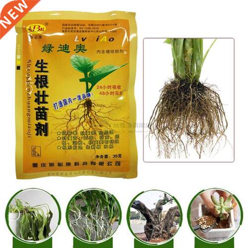 Cytokinin Plant Hormones Fertilizer Food Root Growth Caag