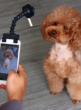 Pet Selfie Stick Smartphone Attachment Cat Dog Selfies Portr