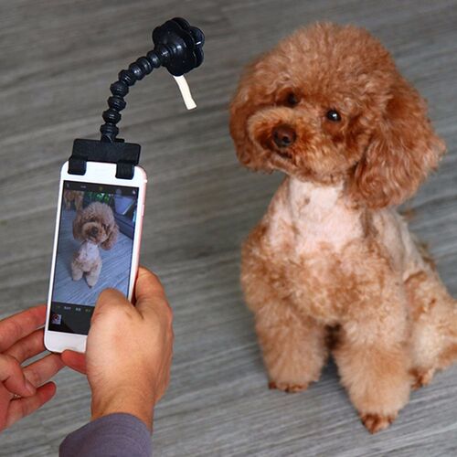 Pet Selfie Stick Smartphone Attachment Cat Dog Selfies Portr