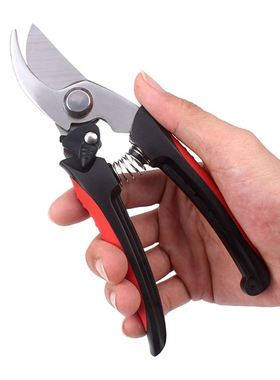 Stainless Steel Garden Pruning Shears Fruit Picking Scissors