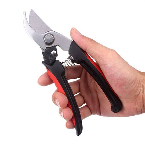 Stainless Steel Garden Pruning Shears Fruit Picking Scissors