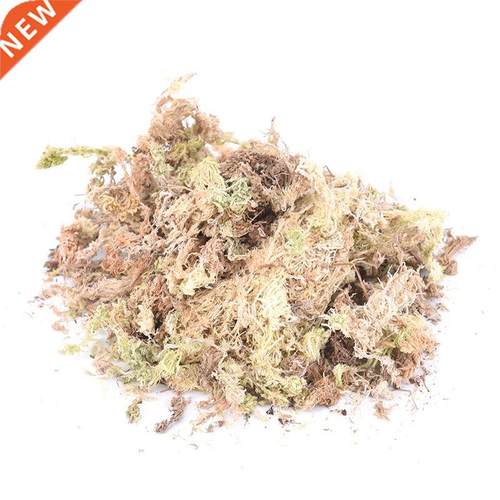 1Pack 12L Sphagnum Dry Moss Orchid Phalaenopsis Musgo Sphag