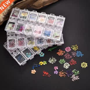 Pressed Dried Flower Dry Plants For Epoxy UV Resin Pendant N