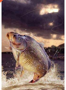 ZOOYA 5D  Fish Diamond Painting Koi Fish Full Round Dril