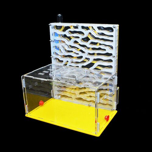 DIY Large Acrylic Ant Farm with Feeding Area Big Ants House