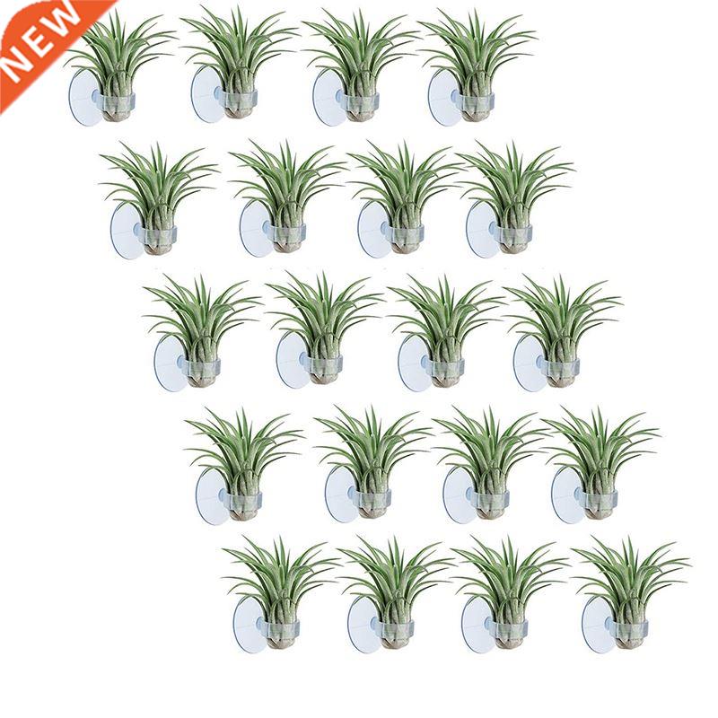 20 Pcs Air Plant Holder, Plant Pot Tillandsia Holder Air Pla