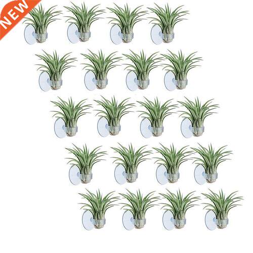 20 Pcs Air Plant Holder, Plant Pot Tillandsia Holder Air Pla
